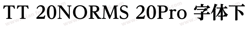 TT 20NORMS 20Pro 字体下载字体转换
